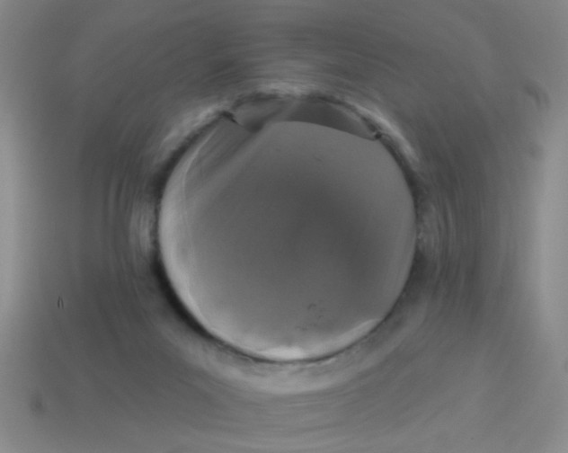 X0000113880023200910151323