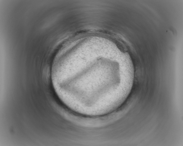 X0000113880024200910151322