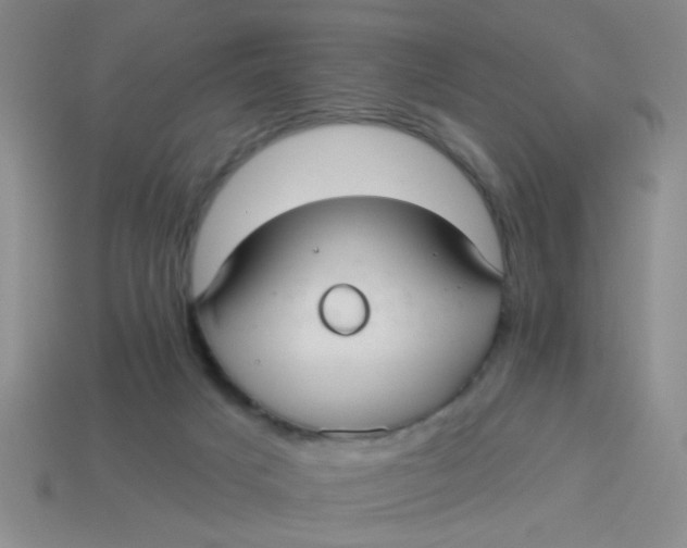 X0000113880025200910151322