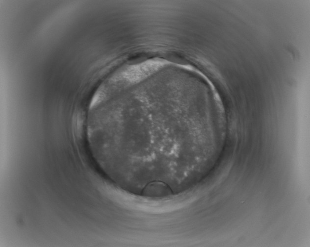 X0000113880026200910151322