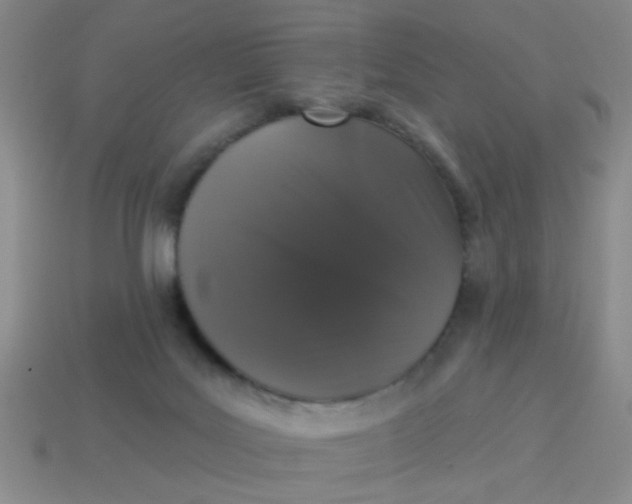 X0000113880027200910151322