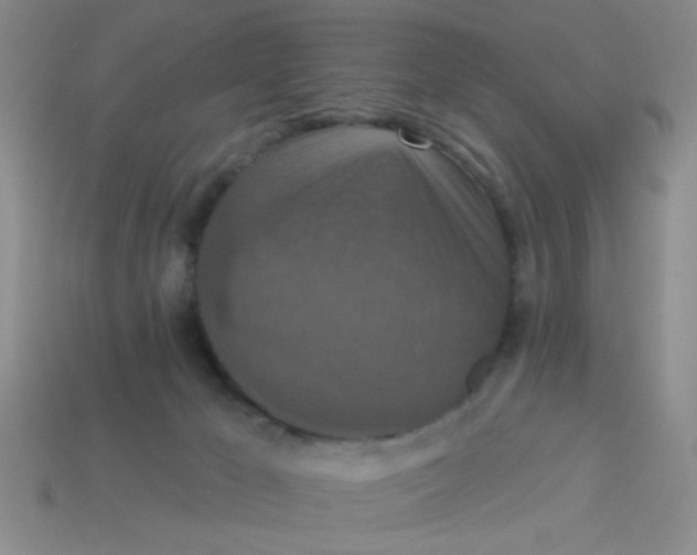 X0000113880029200910151322