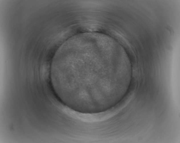 X0000113880030200910151322