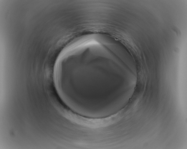 X0000113880031200910151322