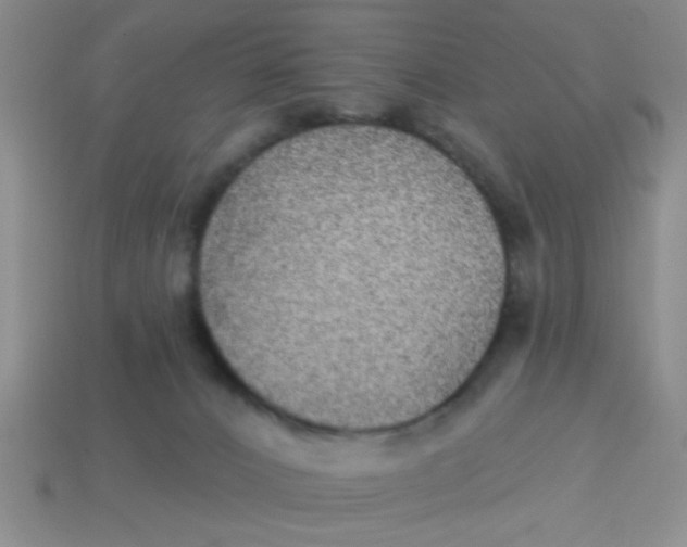 X0000113880032200910151322