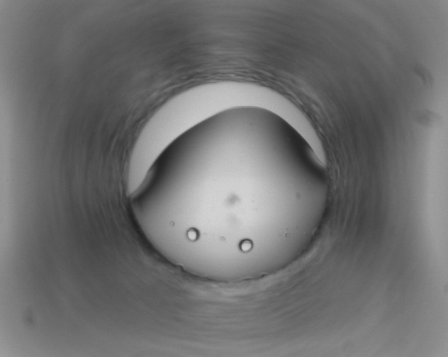 X0000113880033200910151322