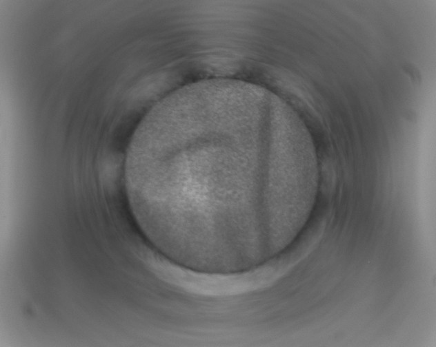 X0000113880034200910151322