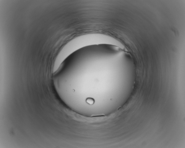 X0000113880035200910151322