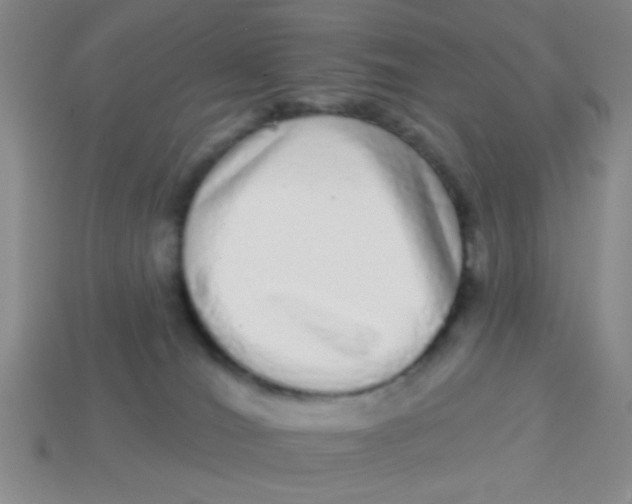 X0000113880036200910151322