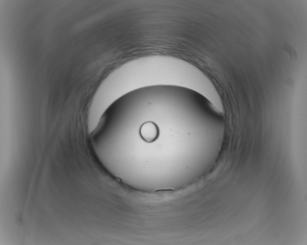 X0000113880037200910151322