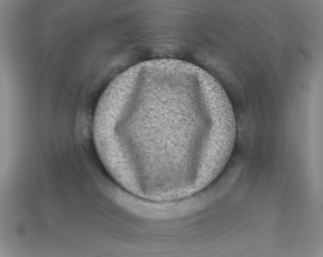 X0000113880038200910151322