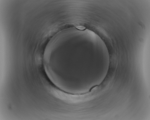 X0000113880039200910151322