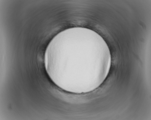 X0000113880040200910151322