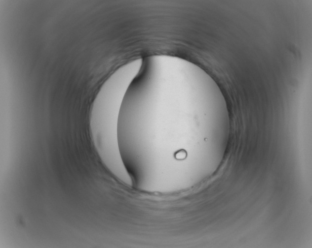 X0000113880041200910151322