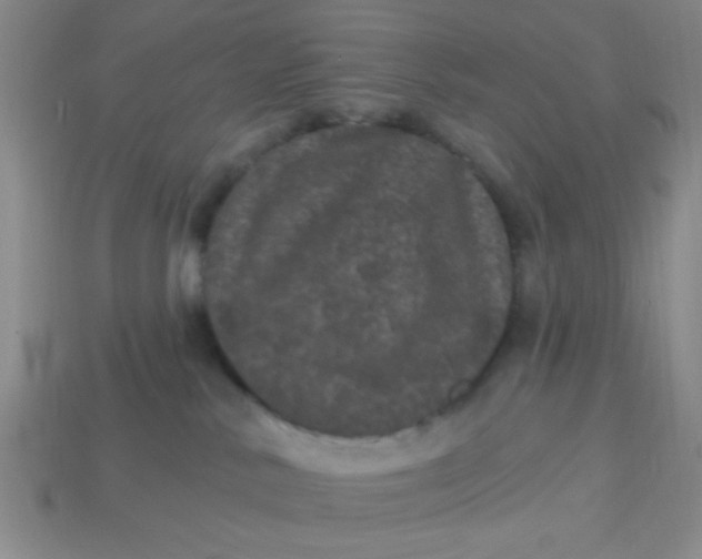 X0000113880042200910151322