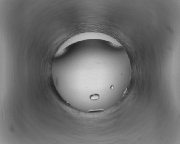 X0000113880043200910151322