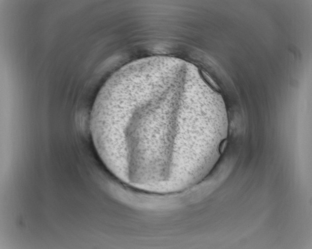 X0000113880044200910151322