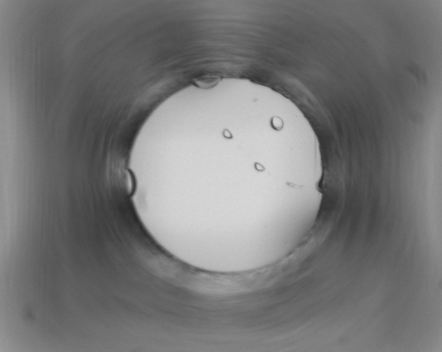 X0000113880045200910151322