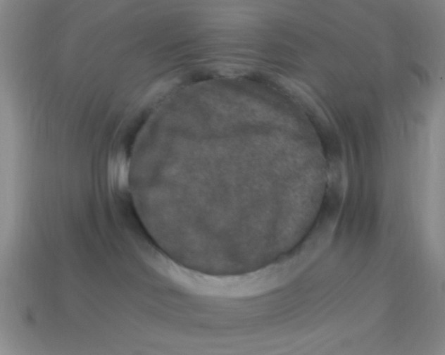 X0000113880046200910151322