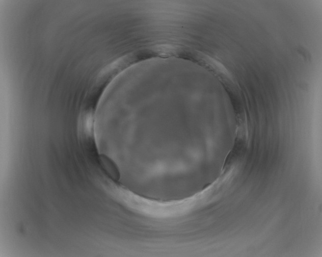 X0000113880047200910151322