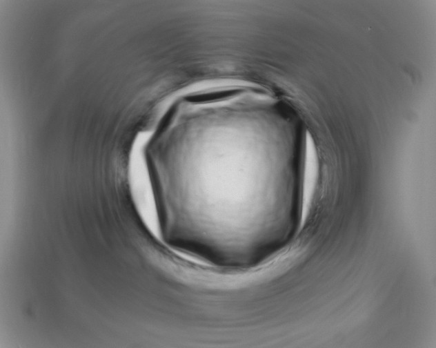 X0000113880048200910151322