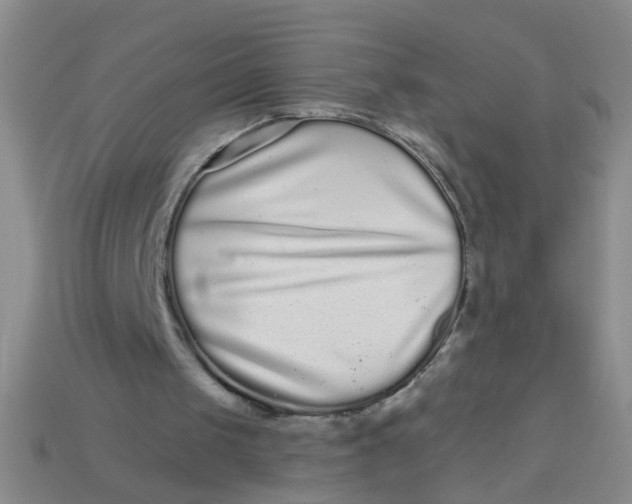 X0000113880049200910151321