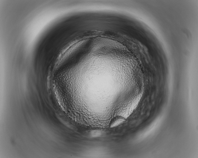 X0000113880050200910151321