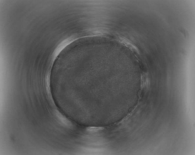 X0000113880051200910151321