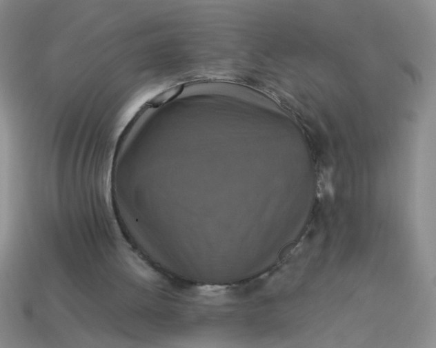 X0000113880052200910151321