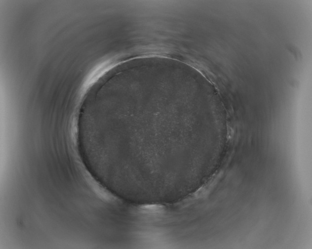 X0000113880053200910151321