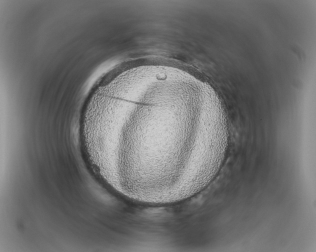 X0000113880054200910151321