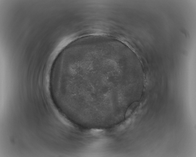 X0000113880055200910151321