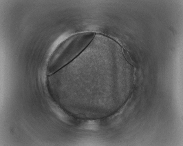 X0000113880056200910151321