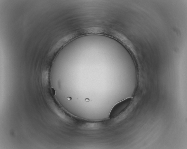 X0000113880057200910151321