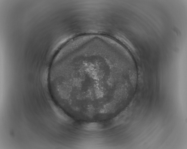 X0000113880058200910151322