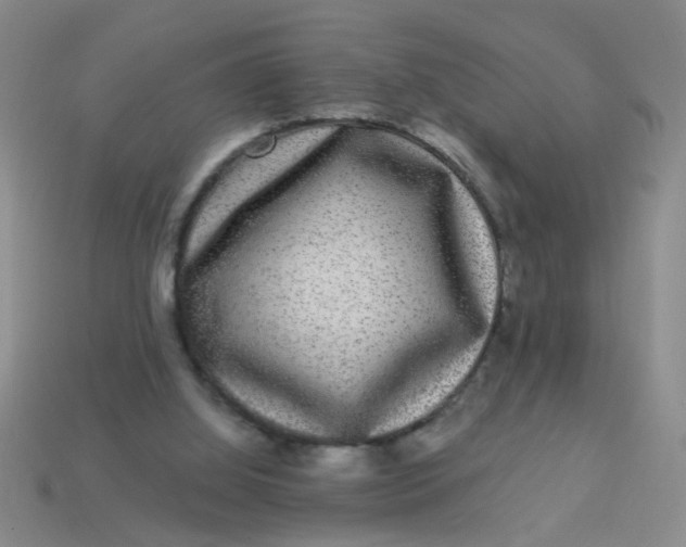 X0000113880060200910151322