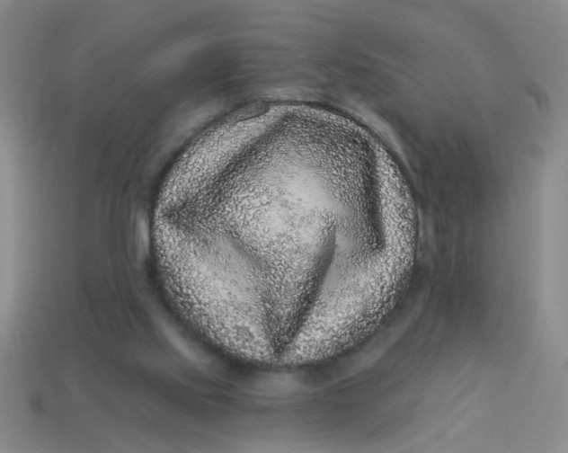 X0000113880061200910151322