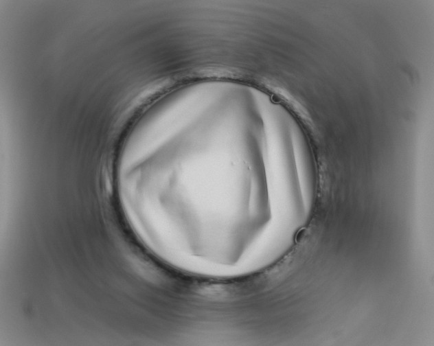 X0000113880062200910151322