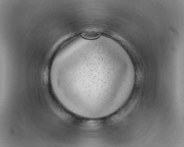 X0000113880064200910151322