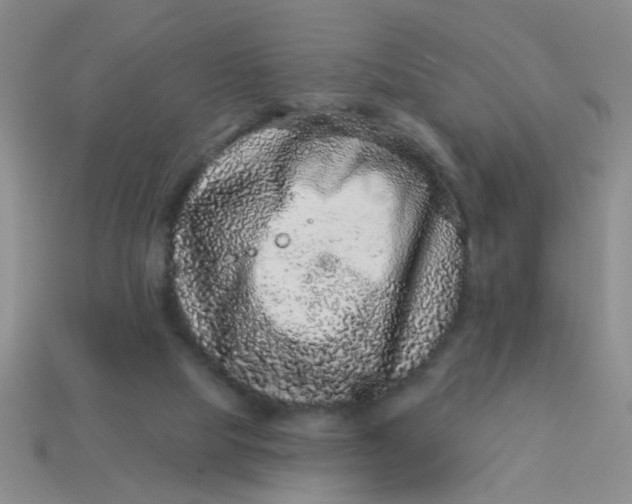 X0000113880065200910151322