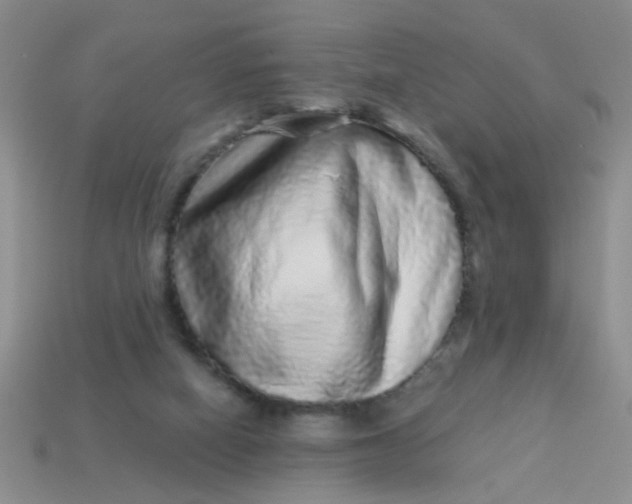 X0000113880066200910151322