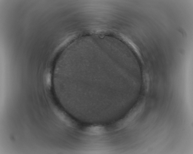 X0000113880067200910151322