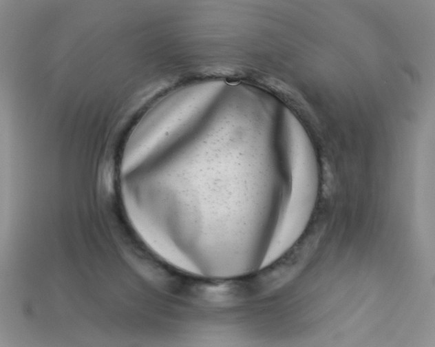 X0000113880068200910151322