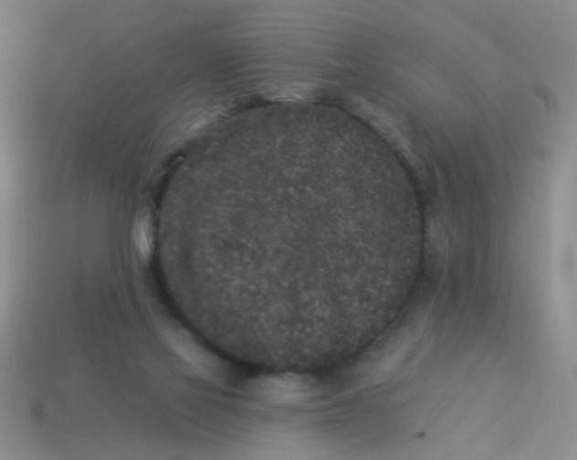 X0000113880069200910151322