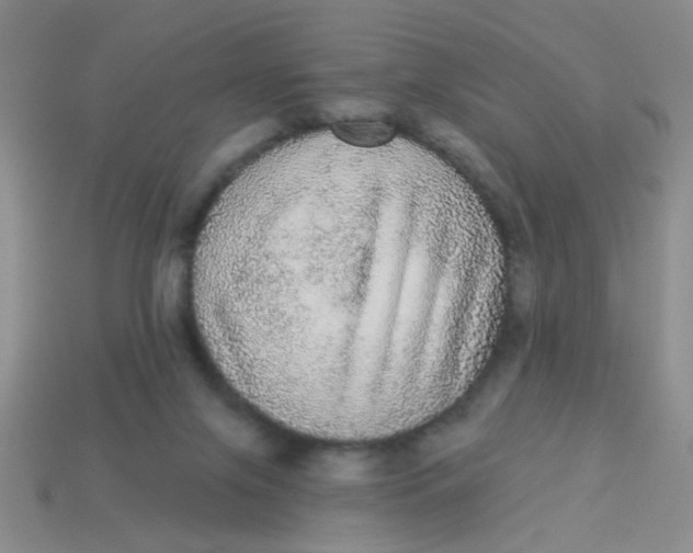 X0000113880071200910151322