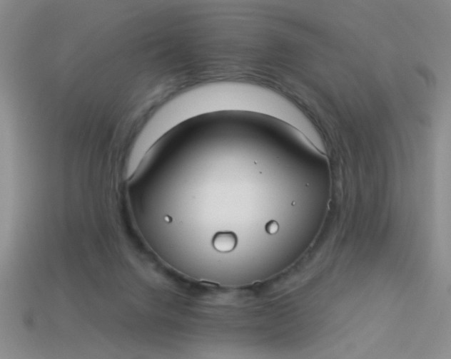 X0000113880072200910151322