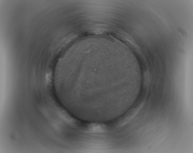 X0000113880073200910151322