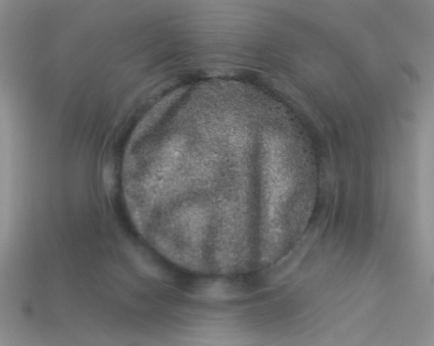 X0000113880074200910151322