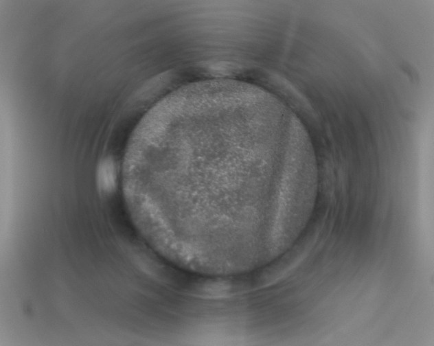 X0000113880075200910151322