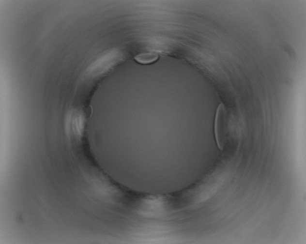 X0000113880076200910151322